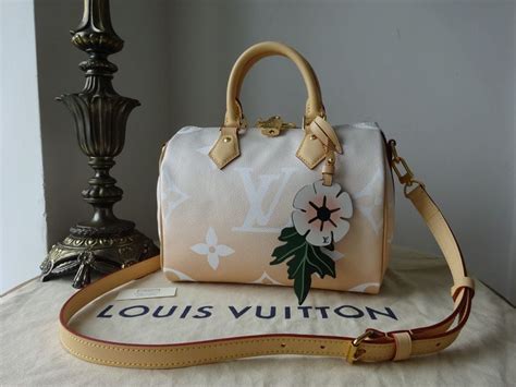 louis vuitton speedy by the pool|authentic louis vuitton speedy.